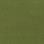Paintbrush Studio Painters Pallette Solid Quilting Fabric Guacamole