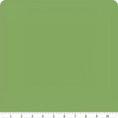 Quilting Cotton Fabric Confetti Solid Clover By Riley Blake Designs