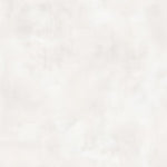 Riley Blake Designs Confetti Cotton Linen Blender Quilting Fabric